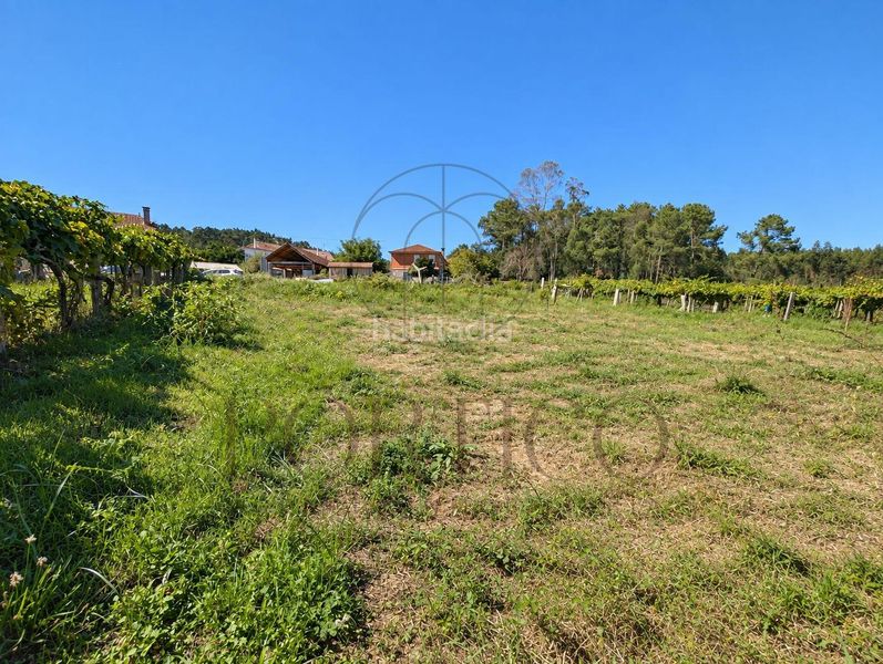 Foto 05e0cea3-4ad2-43ea-912f-31a0295f806a. Residential plot in Salceda de Caselas