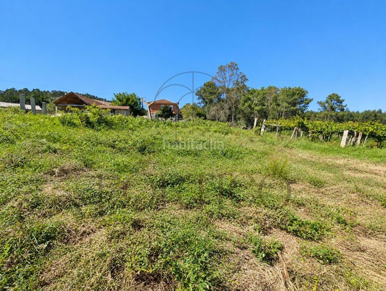 Foto 9fa5a7e0-2962-4c89-be9c-661961e79a10. Residential plot in Salceda de Caselas