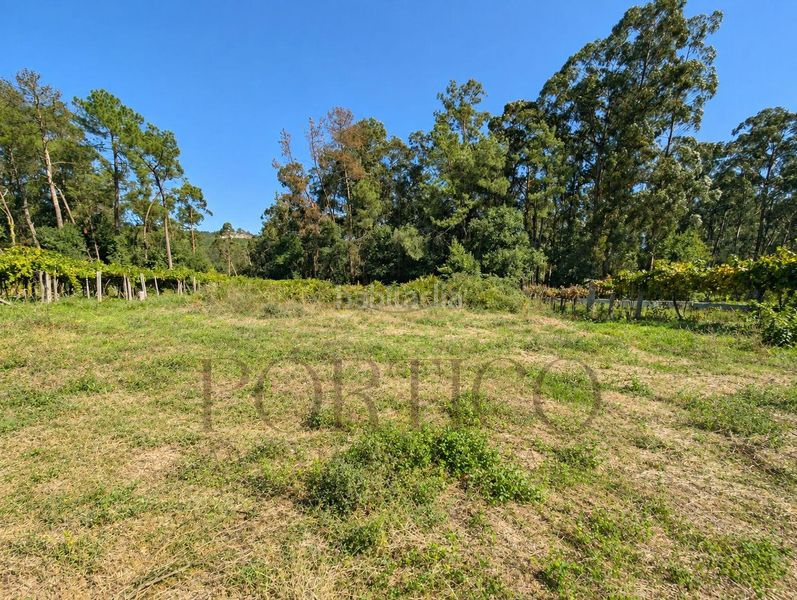 Foto d555ca5b-237b-489a-8eb5-4a57cf9a570c. Residential plot in Salceda de Caselas