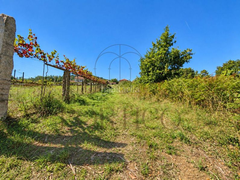 Foto dcdd19a9-a3b4-4043-bd8b-7ac792fcfacb. Residential plot in Salceda de Caselas