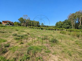 Terreny residencial en Salceda de Caselas. 952 m2 para construir la casa que llevas tiempo imaginando