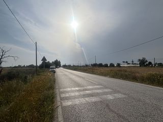 Propriété  Partida maitino 1051. Parcela en partida maitino