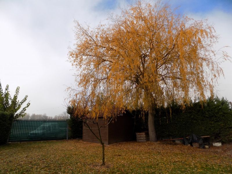 Foto d104803d-683a-4c3e-9c98-bfaa087aad09. Masia a Sangüesa