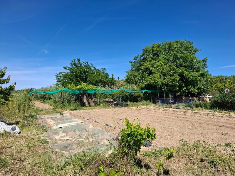 Foto 9761ec39-5588-441a-b914-9698dd673de1. Masia a Olite