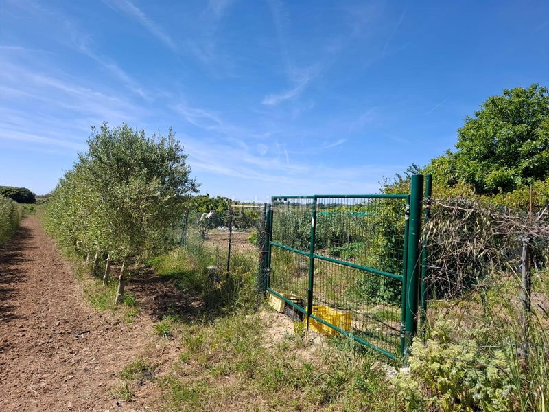 Foto 9a3fdabc-3b35-4c97-90a5-0633547f5175. Masia a Olite