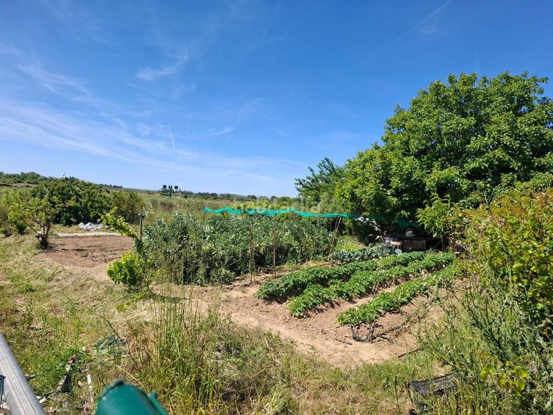 Foto 9b56f792-0290-40b0-8562-e2437133d377. Masia a Olite