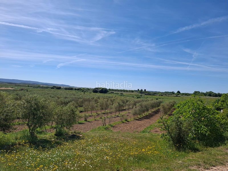 Foto acd62df2-242c-4777-94a1-36fa73ce0069. Masia a Olite