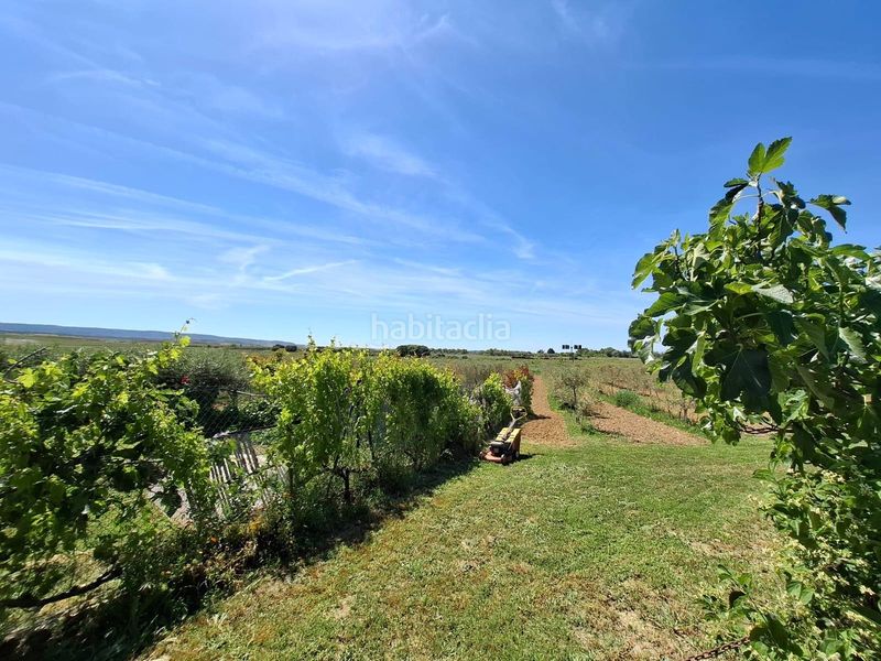 Foto da7780be-fdd5-4253-ba27-e5fd548e5b05. Masia a Olite