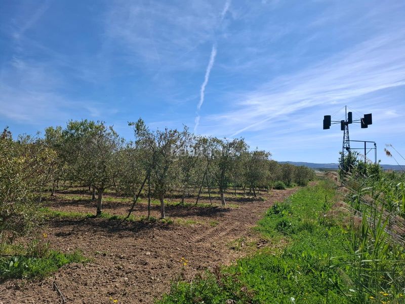 Foto fca25ee6-0f87-4c6c-9917-6465445e2205. Masia a Olite