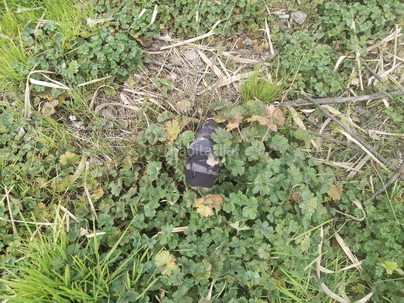 Foto 764ced96-27ba-49d1-b520-02bea1c533f3. Terreny residencial a Pitillas