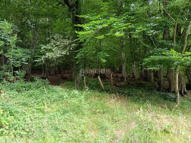 Foto a3768f2c-9249-48b0-8677-7c87128339a6. Finca rústica a Basaburua