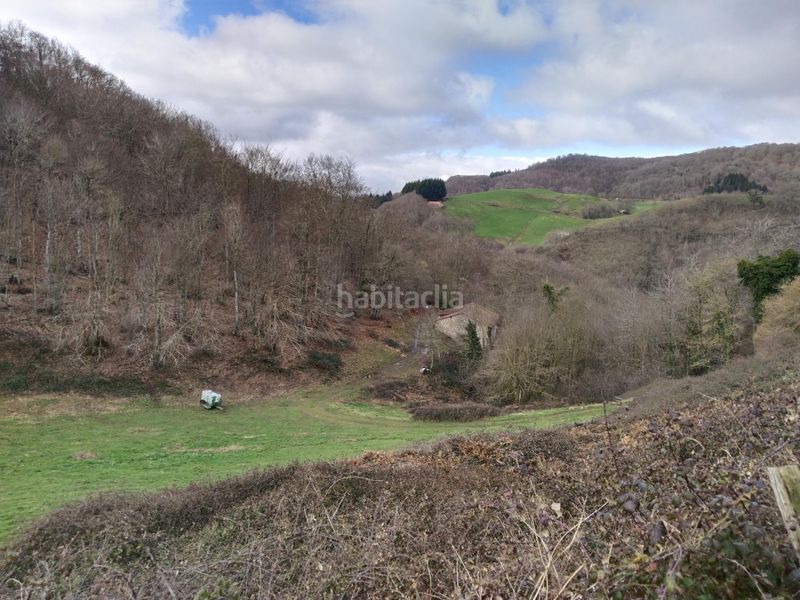 Foto b54ef824-4eee-4b7c-8f02-a4cf57e235d3. Finca rústica a Basaburua