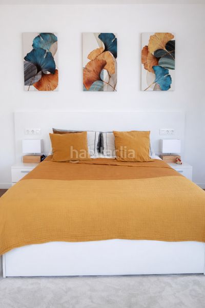 Foto 75c047d3-1106-4474-874c-ef51d875f011. Pis a Albal