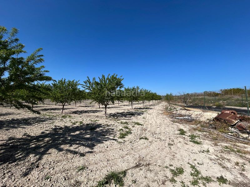 Foto c3a5b416-cd7b-4005-8d3e-27dea8869cee. Masia amb xemeneia aparcament piscina a Bullas