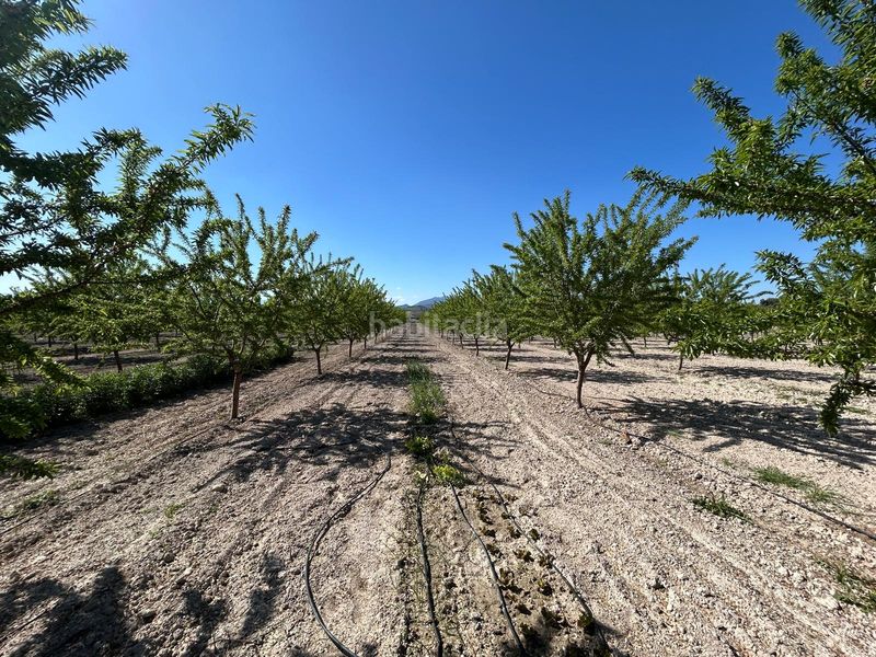 Foto ce1e7f24-3611-4780-9c2b-015c2c7570ba. Masia amb xemeneia aparcament piscina a Bullas
