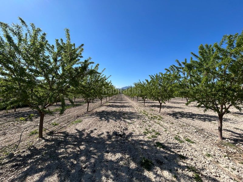 Foto ff968188-1581-42f4-b135-d9df667a2e17. Masia amb xemeneia aparcament piscina a Bullas