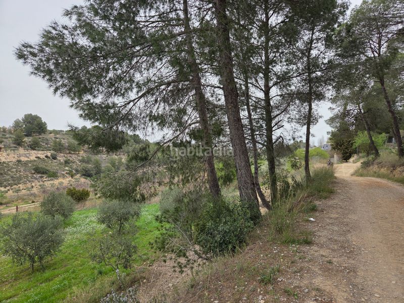 Foto d12cbf78-25ea-47b9-b871-73bed4e89577. Masia amb xemeneia piscina a Bullas