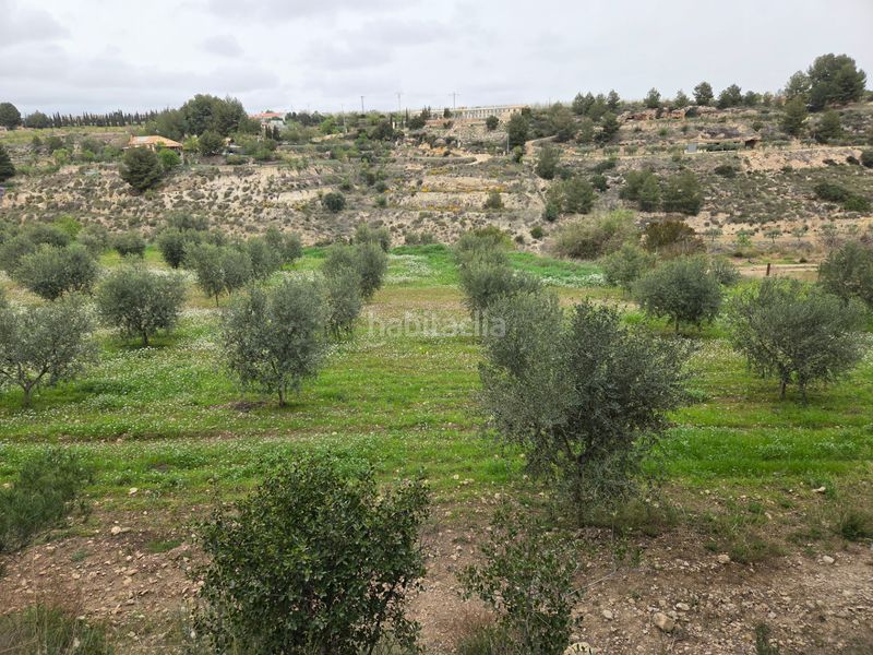 Foto e971b8d1-0b61-46e3-a5c6-828892738cd5. Masia amb xemeneia piscina a Bullas