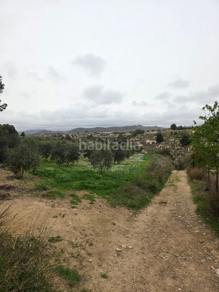 Foto e9a143b5-7ffc-4862-ba9b-9136206e897c. Masia amb xemeneia piscina a Bullas
