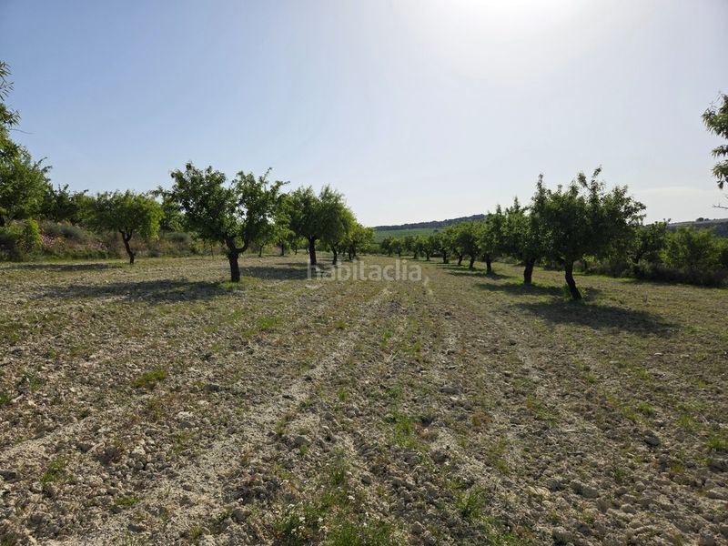 Foto 10bafe71-a25d-471c-9f3a-1428b096a048. Finca rústica a Bullas