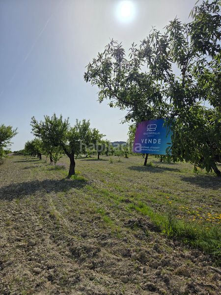 Foto 239a94bc-df62-46b8-9d54-b189364c82f2. Finca rústica a Bullas