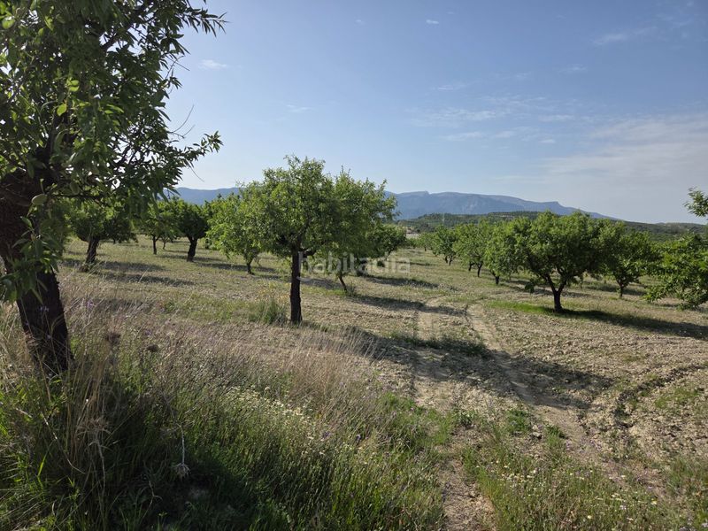 Foto 346f6332-44de-4e89-9b03-e864d6ed6987. Finca rústica a Bullas