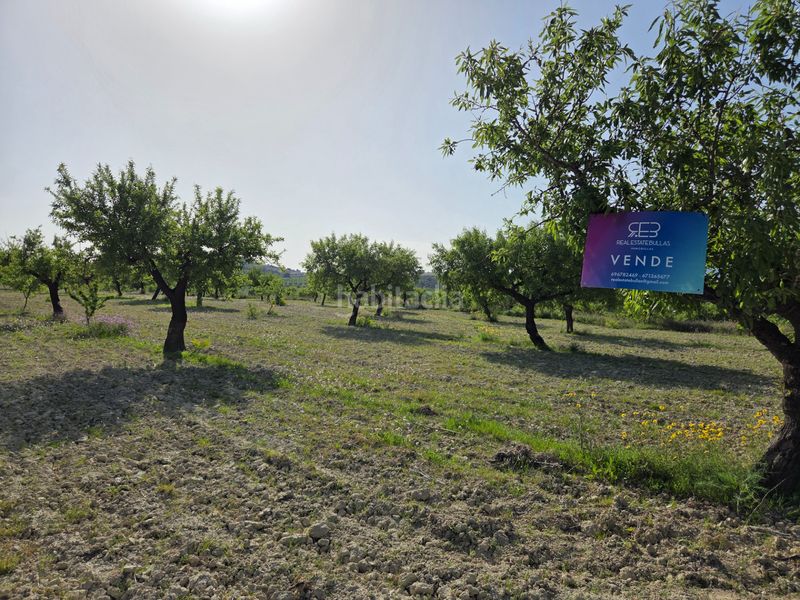 Foto 4073d930-0aa8-4ce8-a17b-fb90df80f70b. Finca rústica a Bullas