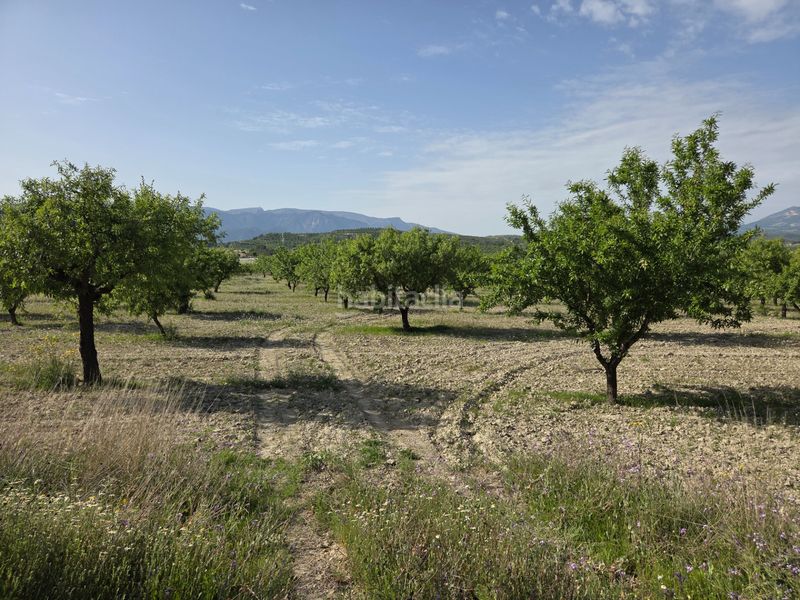 Foto a3300adc-c191-44e3-a1fe-a20db3712485. Finca rústica a Bullas