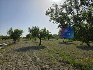 Finca rústica a Avenida Luis de los Reyes