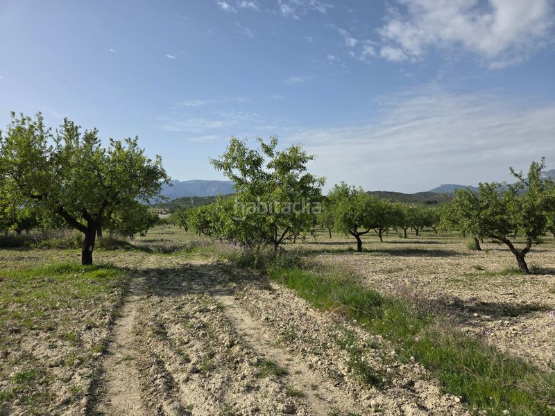 Foto e37ba6ff-9bcb-45a0-aedf-f780b996b362. Finca rústica a Bullas