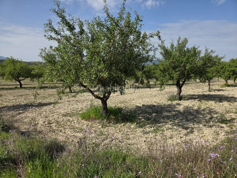 Foto f564bd57-1bd9-41f5-b344-8897e49712c7. Finca rústica a Bullas