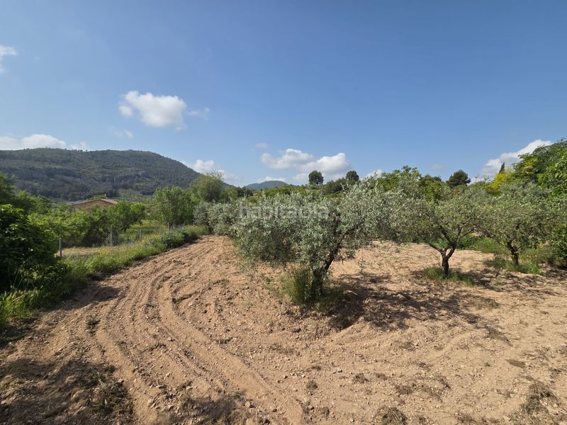 Foto d8bbbb7d-d7c0-45a6-8a9f-8752877c60f4. Finca rústica a Bullas