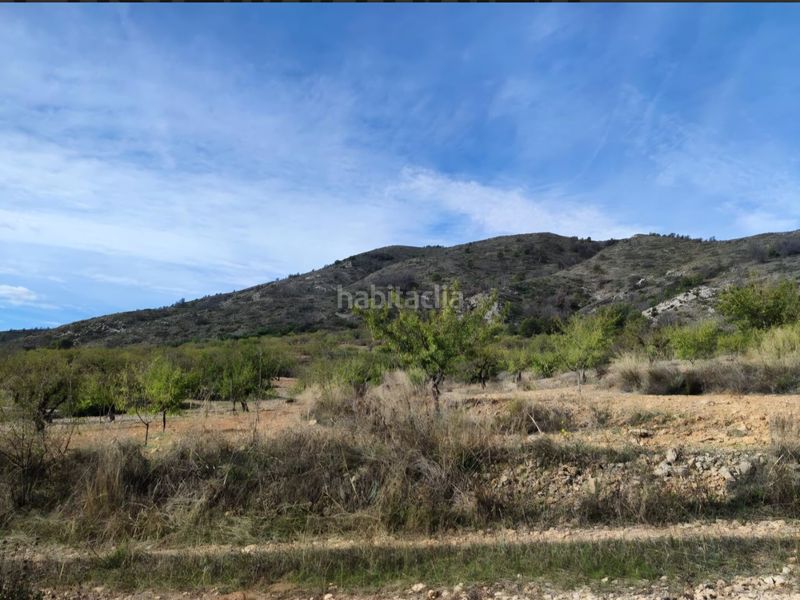 Foto b9683c66-8089-4a4a-86c5-87f491f414c3. Finca rústica a Bullas