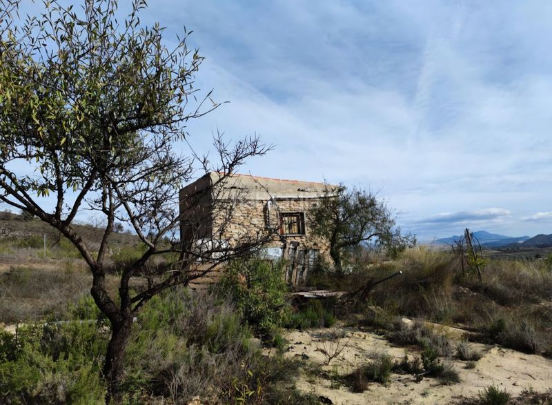 Foto ce723895-9f0b-4896-bce3-ab4a31cf97ff. Finca rústica a Bullas