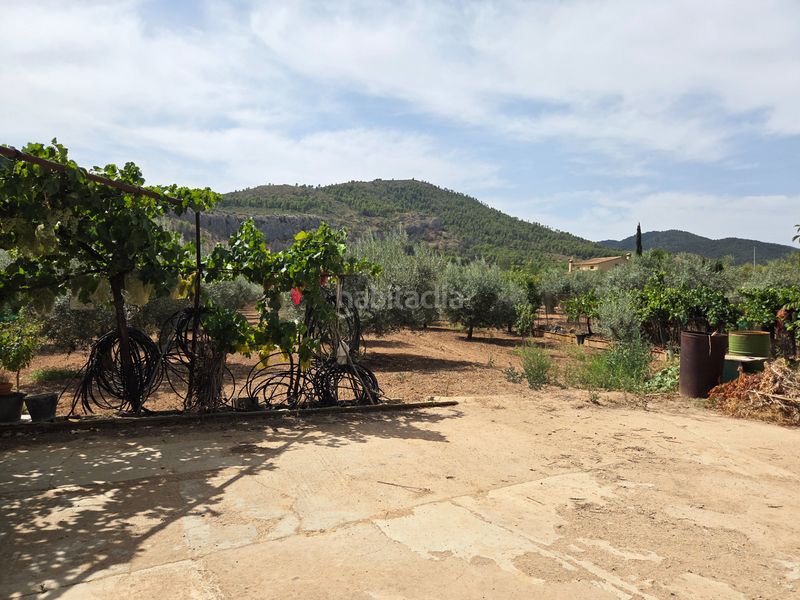 Foto 91c280b7-dcbe-4770-aee3-21488be3b285. Masia a Bullas