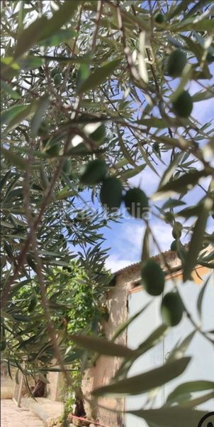 Foto 08a8d7f7-c98b-43c8-a9fc-8005fd0957e0. Finca rústica a Bullas