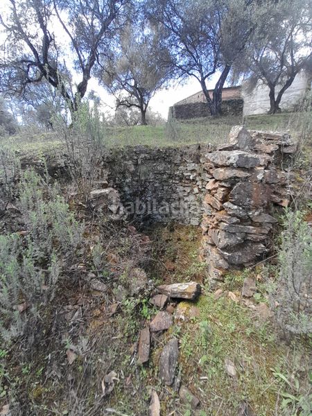 Foto 491b7392-8b64-4f00-9f7e-57b1a7379d79. Finca rústica a n-433 2 a Aracena