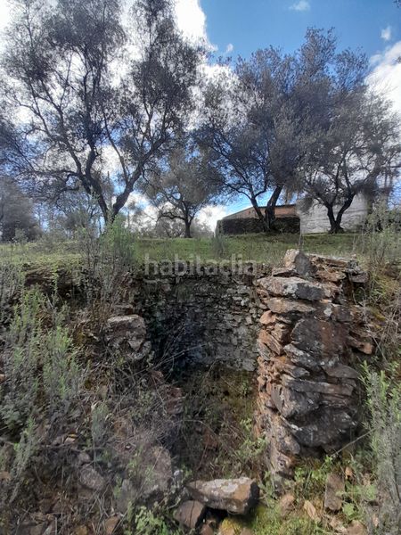 Foto c8d97e0f-50c8-4b91-869c-094473845ff0. Finca rústica a n-433 2 a Aracena
