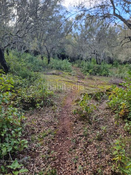 Foto 39b2a0b7-d67e-42ec-9348-3d6ff5a66240. Finca rústica a n-433 40 a Marines (Los)