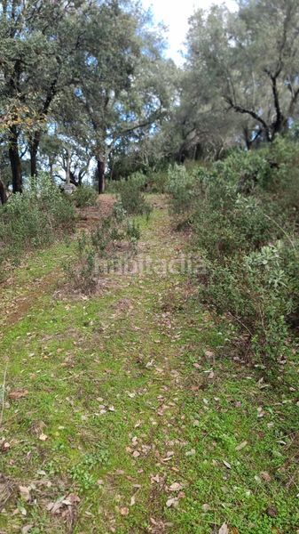Foto 6a743fd8-4f86-4b27-88d7-73321ca210d9. Finca rústica a n-433 40 a Marines (Los)