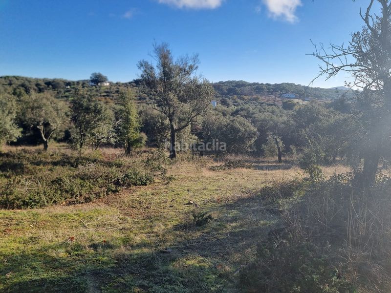 Foto 3d3d1eb8-a437-4cbf-b15e-ebb3e71bae54. Finca rústica a n/a a Aracena