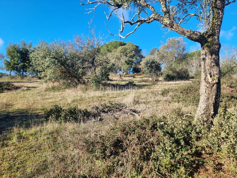 Foto dd9f95b5-3561-49bf-b595-e1fb12a1ee9e. Finca rústica a n/a a Aracena