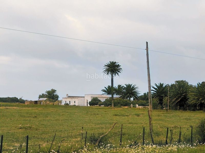 Foto 754ce436-9fcc-4505-8b17-3bdd3210f176. Masia amb aparcament piscina a Tarifa ciudad Tarifa