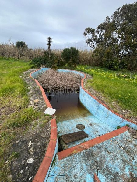 Foto 87725766-bf3a-45f4-91ab-050ae69a56d7. Masia amb aparcament piscina a Tarifa ciudad Tarifa
