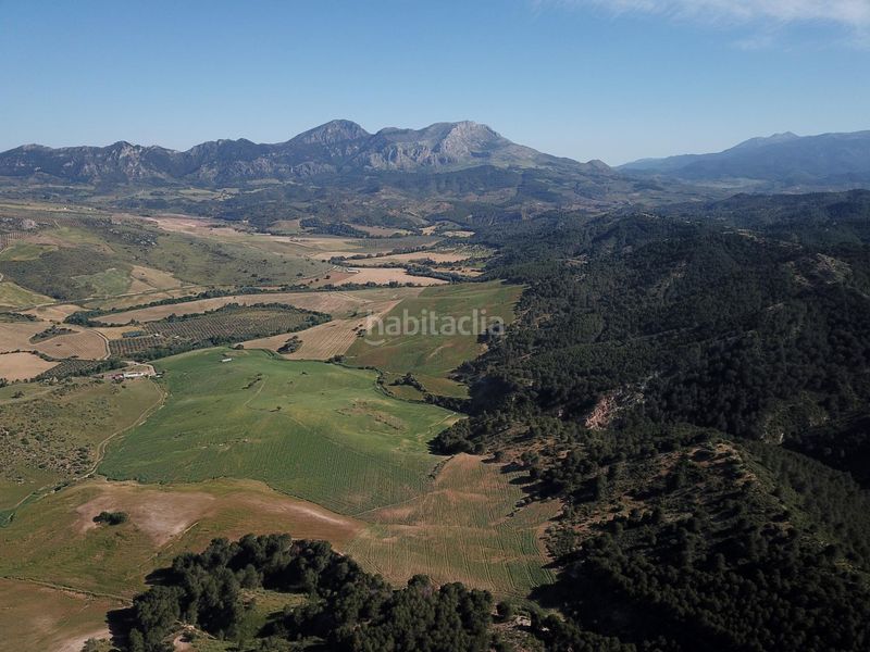Foto 44d94f26-f526-46b5-9f07-89153f7eda68. Terreno residencial impresionante finca edificable cerca de málaga en Ardales