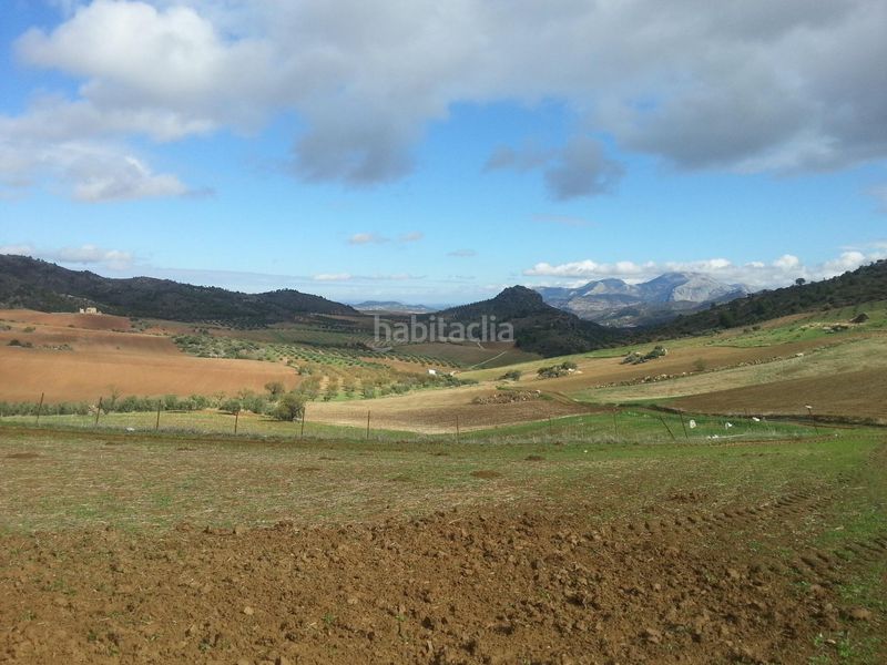 Foto 5917f22a-376a-4fdd-b7ca-07fac293708b. Terreno residencial impresionante finca edificable cerca de málaga en Ardales