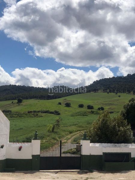 Foto 9582a001-8ad6-4688-86b5-9cffe74ed305. Terreno residencial impresionante finca edificable cerca de málaga en Ardales