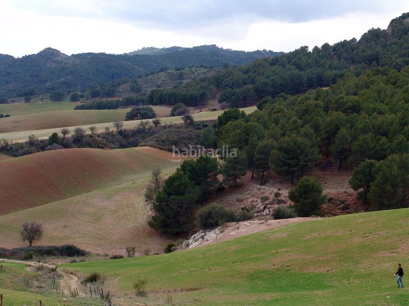Foto d8423c6f-b4d1-4e98-b5ef-3b3bd0f46dfb. Terreno residencial impresionante finca edificable cerca de málaga en Ardales