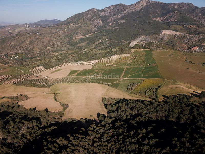 Foto fd0ef1c0-46e6-4550-a08c-47b889e5fa1f. Terreno residencial impresionante finca edificable cerca de málaga en Ardales