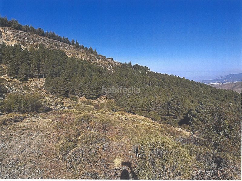 Foto 0800b9f0-471a-44c9-b0c7-97026872923d. Terreno residenziale in Güéjar Sierra